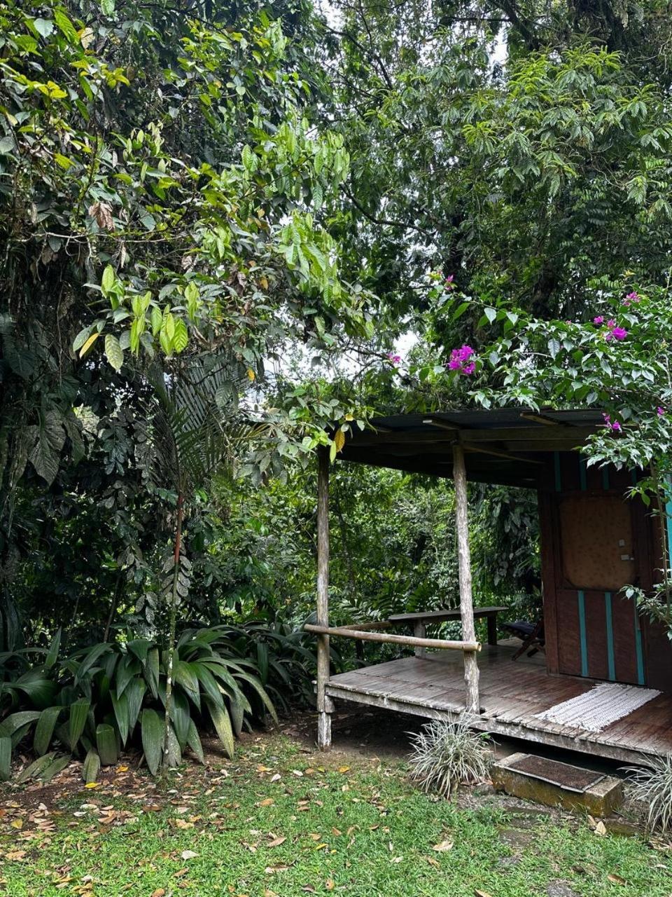 Casa Rio Blanco Eco Friendly B&B Guápiles Extérieur photo