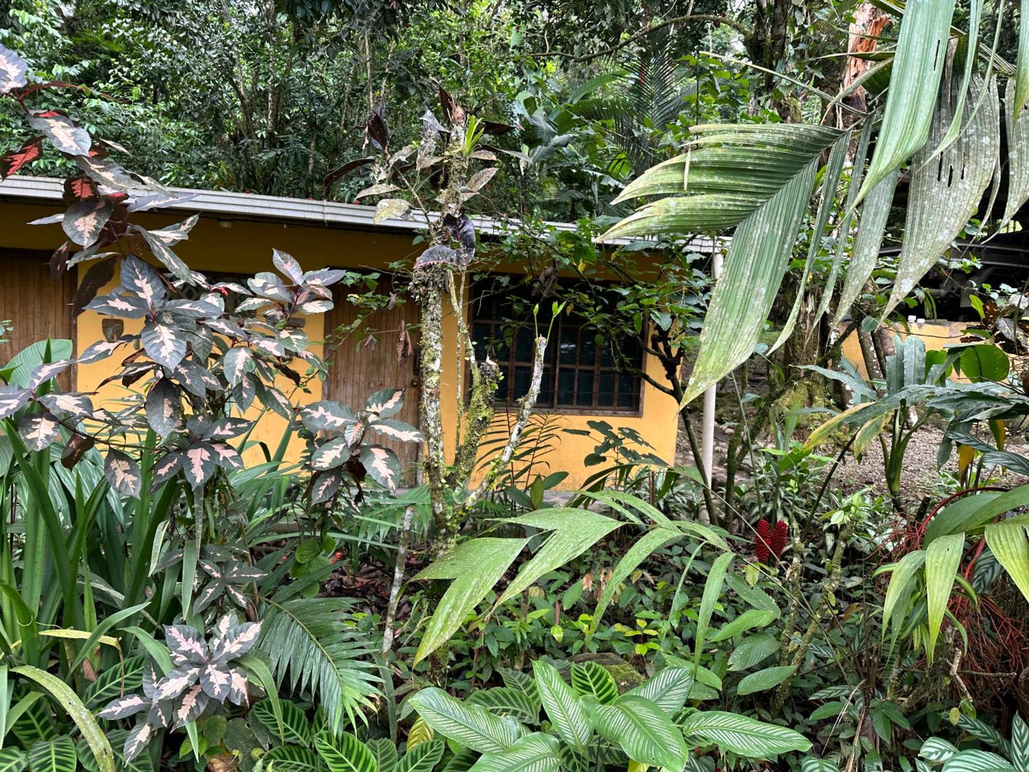 Casa Rio Blanco Eco Friendly B&B Guápiles Extérieur photo