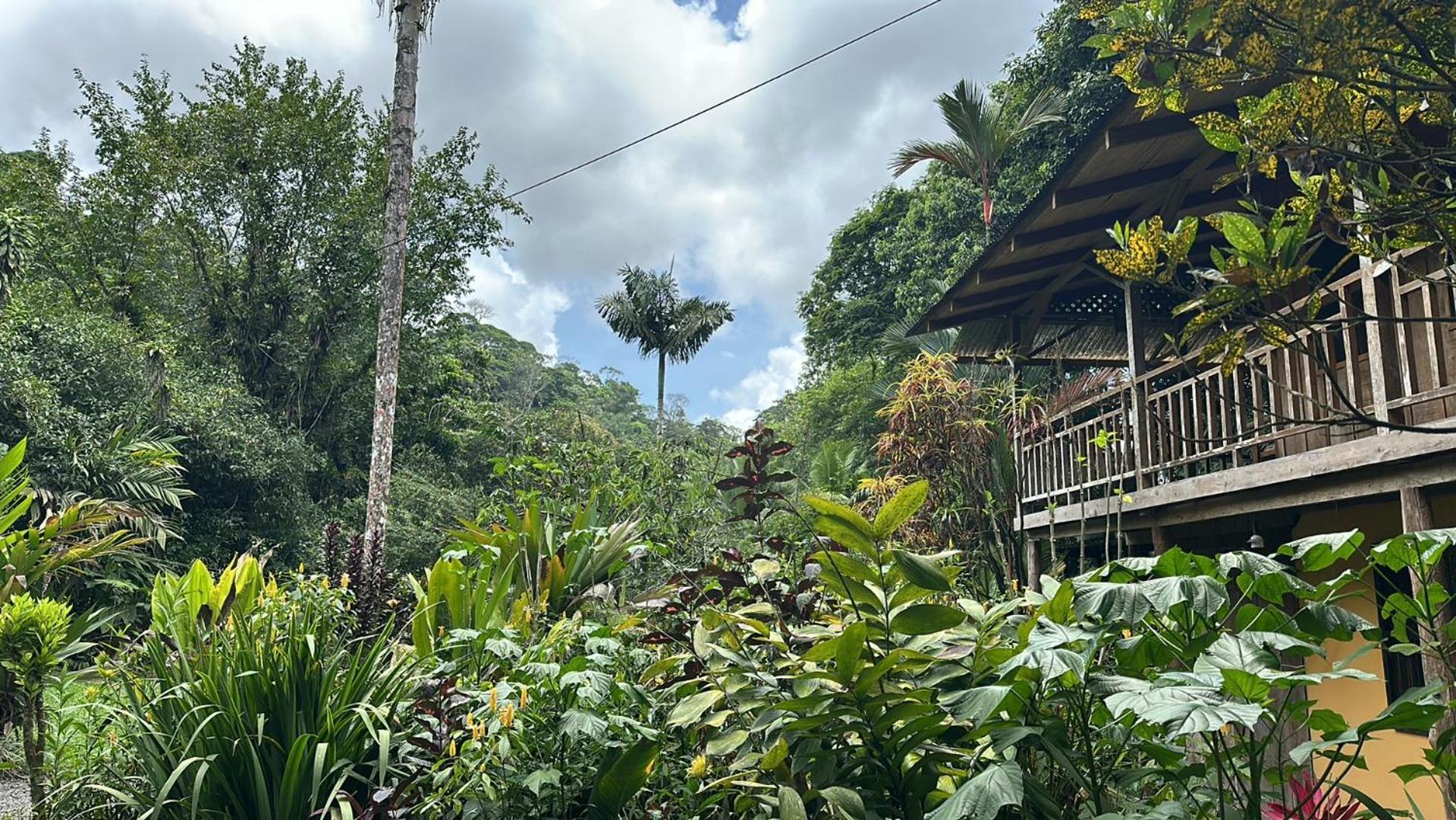 Casa Rio Blanco Eco Friendly B&B Guápiles Extérieur photo