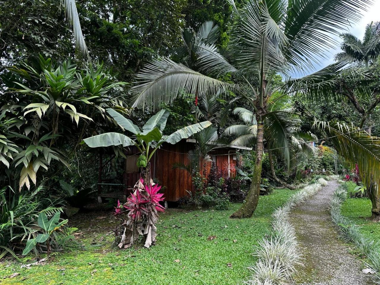 Casa Rio Blanco Eco Friendly B&B Guápiles Extérieur photo