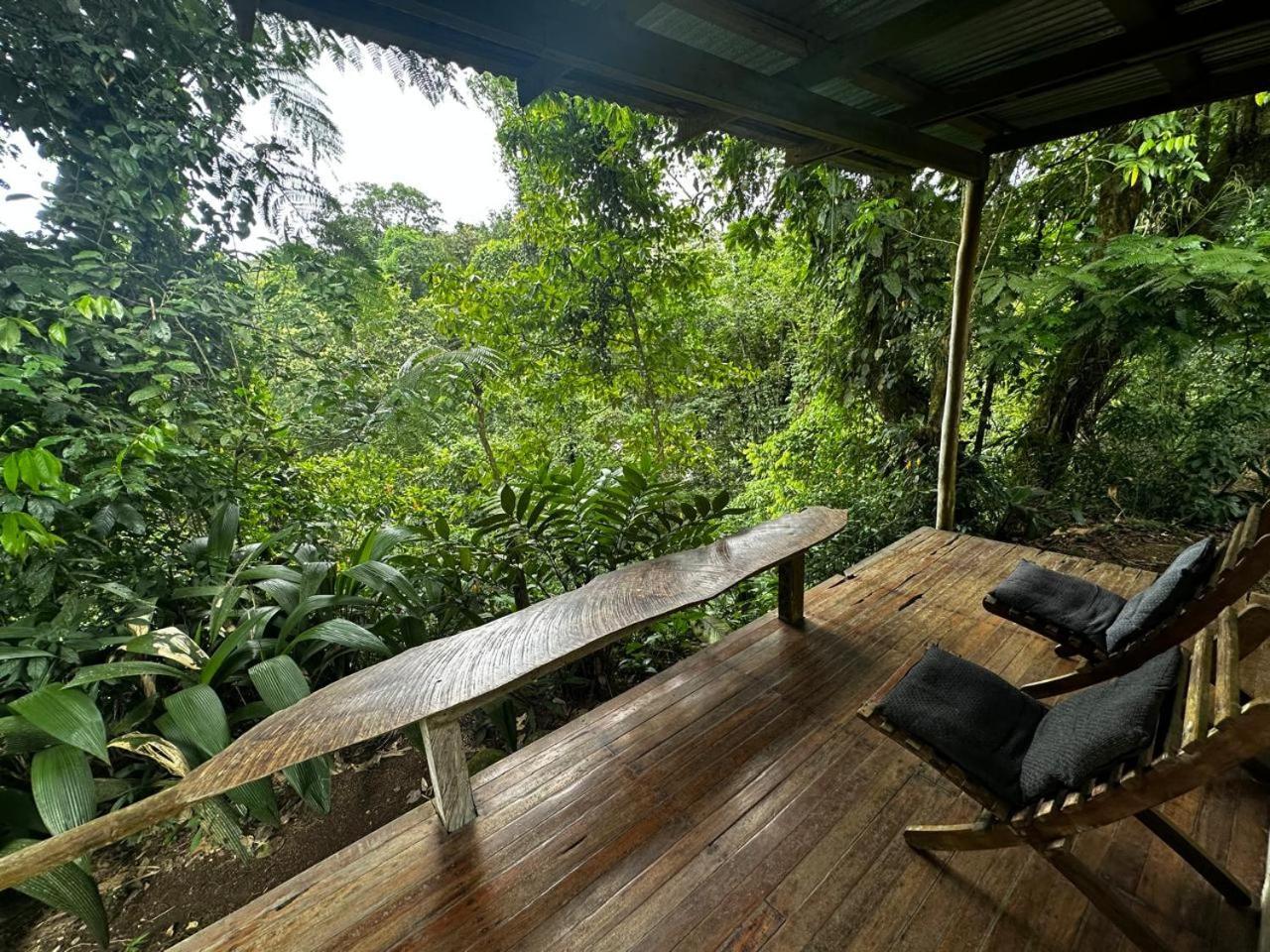 Casa Rio Blanco Eco Friendly B&B Guápiles Extérieur photo