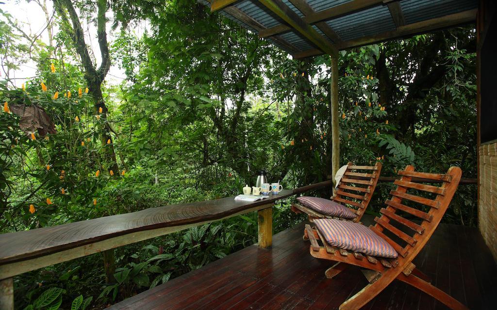 Casa Rio Blanco Eco Friendly B&B Guápiles Extérieur photo